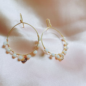 Wire handmade embroidered earrings